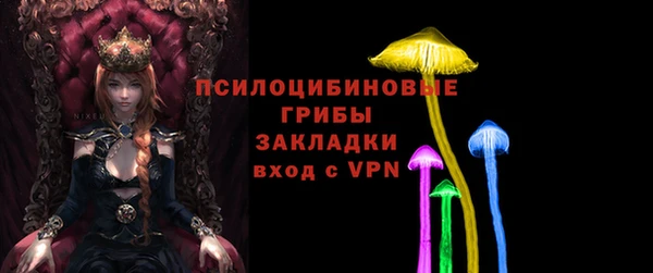 ПСИЛОЦИБИНОВЫЕ ГРИБЫ Белоозёрский