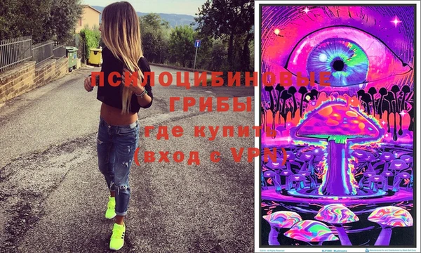 спиды Беломорск