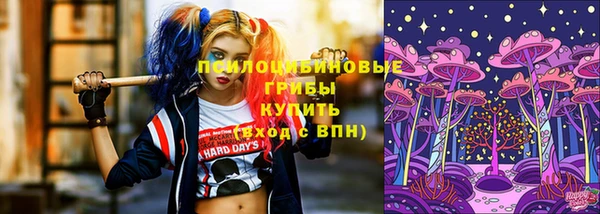 твердый Белокуриха