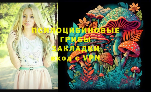твердый Белокуриха