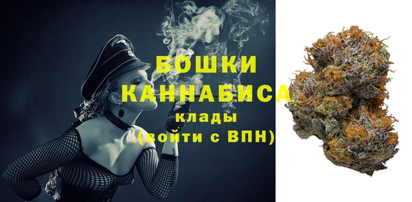 ПСИЛОЦИБИНОВЫЕ ГРИБЫ Белоозёрский