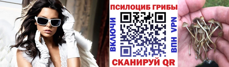 Галлюциногенные грибы ЛСД Белокуриха